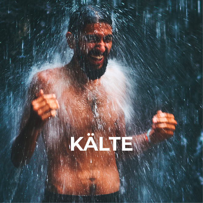 POWEREFFEKT ONLINE-WORKSHOP – 9 Wochen mit Powereffekt